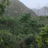 hoanthien207