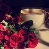 nora_q25