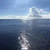 _nguyencuong0