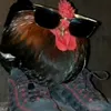 detrokz_rs