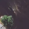 fatimaezzah28