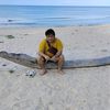 dyuask6h81wz