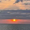 emilia_alischa_murgoska