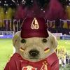 the.chicharito_tiktok