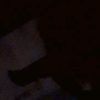 yakdh_723