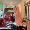 kiwikae9