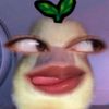 sskskq16