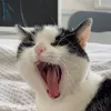 natalou63