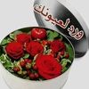 alwemohammed588