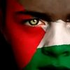 issamsteif
