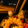 shesunflower.8