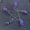 the__lavender__witch