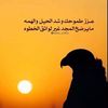 faysalb52