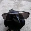 dancinghank456