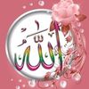user31lkco7wse