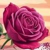 rociotorres1113