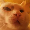 skaylar_09