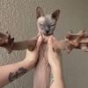 muhhhkenzie