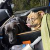 Beaux&Bella