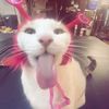 rinso_sabun1