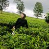 ayuanandapratiwi1