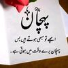 wajid1984