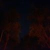 xander_glasson