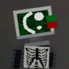 pc.man5