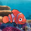 nemothefish006