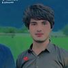 dilsozif