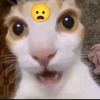 itsrey8_