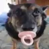 whatisyourold
