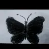 l1li_005