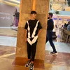 38_6m