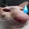 buiqd