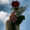 user338063520082