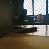 rayapmakanan1