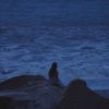 iwannabewithyouu_