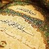 amelsaid881