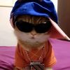 mr_ar05