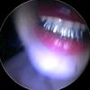 faywest_