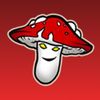 amazingmushroom1