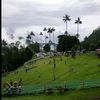 ludiviahenao600