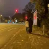 leti_eleven