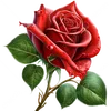 rosy612438