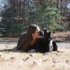 Brittany | Puppy Training