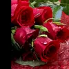 dykf7j98f1p2
