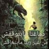 eslam.elkhawaga74