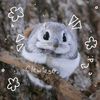 itz_sam092