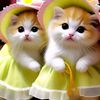 user5361818198243